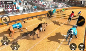 Cách Chơi Game Nhanh Đua Chó Tại BJ88 Để Kiếm Thưởng Khủng
