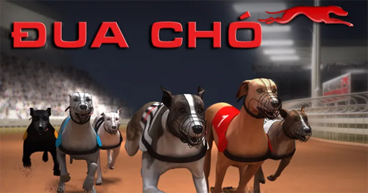 Cách Chơi Game Nhanh Đua Chó Tại BJ88 Để Kiếm Thưởng Khủng 2 Cách Chơi Game Nhanh Đua Chó Tại BJ88 Để Kiếm Thưởng Khủng